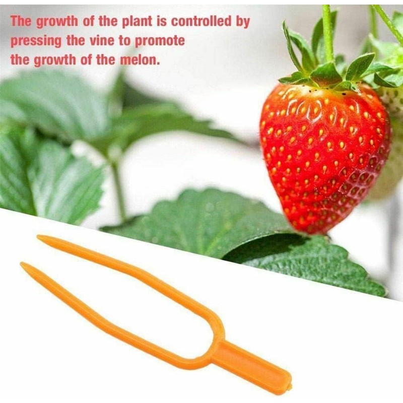 Juroicessry 50Pcs Gardening Plant Fixing Clips,Plastic Plant Climbing Support Clips