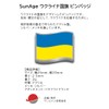 Ukraine Flag Pin Badge for Cheer, Friendship and Friendship Pins,