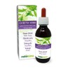 Green Chiretta (Andrographis paniculata) Tops Alcohol-Free Mother Tincture Naturalma |