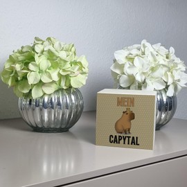 Mein Capytal Wooden Money Box with Funny Capybara A Colourful Piggy Bank to Build Capital Water Pig Money Box Save Money