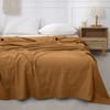 BISELINA Linen Sheet French Flax Flat Sheet Only 55% Euro