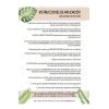 Kit Keratina Alisado Brasileño 500 Ml + Pretratamiento 250ml
