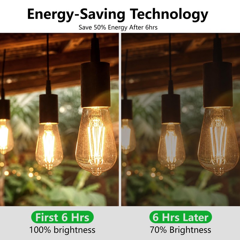 Qualilux Dusk to Dawn Edison LED Light Bulbs ST19, 3000K