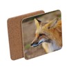Untersetzer aus Kork – Rotfuchs Wildlife – 1 Stück (95
