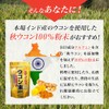 ユウキ製薬 秋ウコン 末 100% 53-80日分 160g 粉末 クルクミン ターメリック