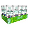 Steaz Organic Lightly Sweetened Iced Green Tea, Blueberry Pomegranate, 16