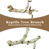 BNOSDM Reptile Branches, 9.5-11.4inch Snake Climbing Branch, Terrarium Wood Branch