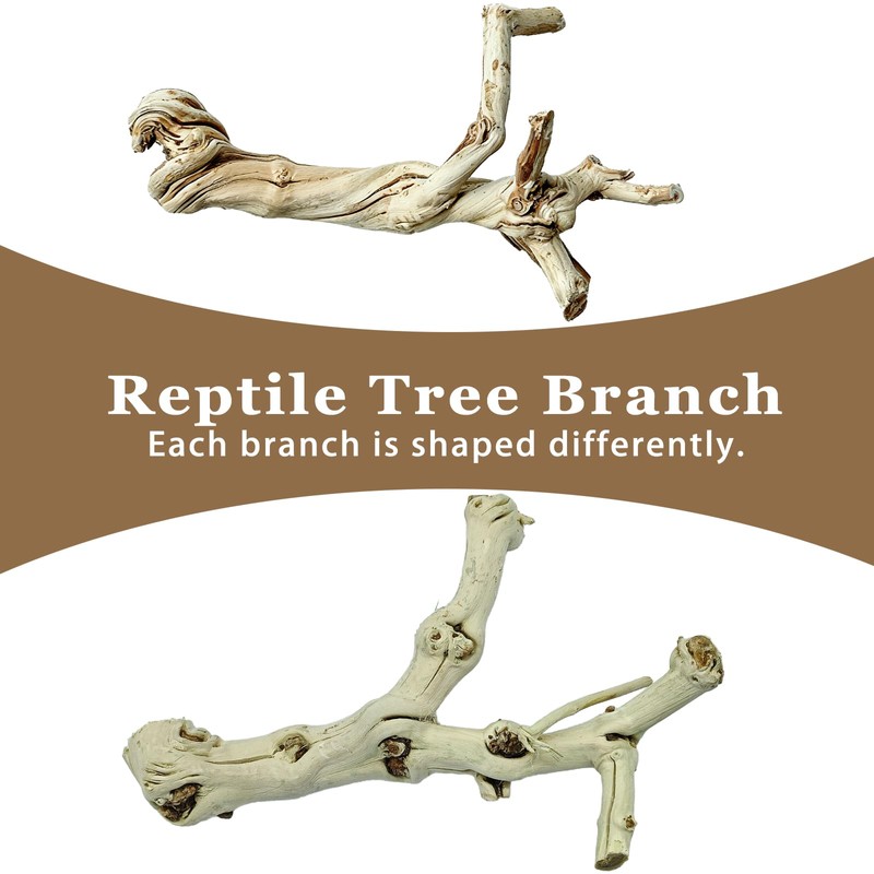 BNOSDM Reptile Branches, 9.5-11.4inch Snake Climbing Branch, Terrarium Wood Branch