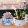 VIDA4U 12 Piezas Velas Aromaticas, Velas Aromticas Decorativas, Velas de