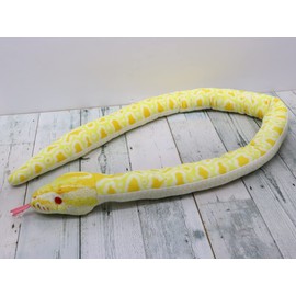 Take Off Python (Albino)