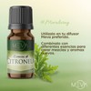MEVA Esencias para Difusores y Humidificadores de Aromas 5ml Varios