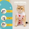 Avont Pack of 2 Cat Bodysuit After Surgery Recovery Suit