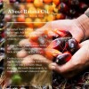 Aceite De Tratamiento Capilar Olcg Batana 100% Crudo Para El