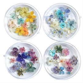 Set of 48 Handmade Mini Pressed Flowers, Dried Flowers, Small, Delicate and Cute Colors, Mix Colorful DIY Nails Resin Sealed Original Material Accessories