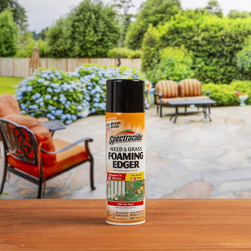 Spectracide Weed & Grass Foaming Edger (17 oz), 1 Count