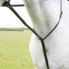 Shires Blenheim Standing Martingale