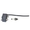 Coil Ignition With BM6A For Echo ES-250 PB-250LN PB-250 ES-252