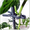 protanic Tomato Rod Plant Support Trellis with Plant Clips