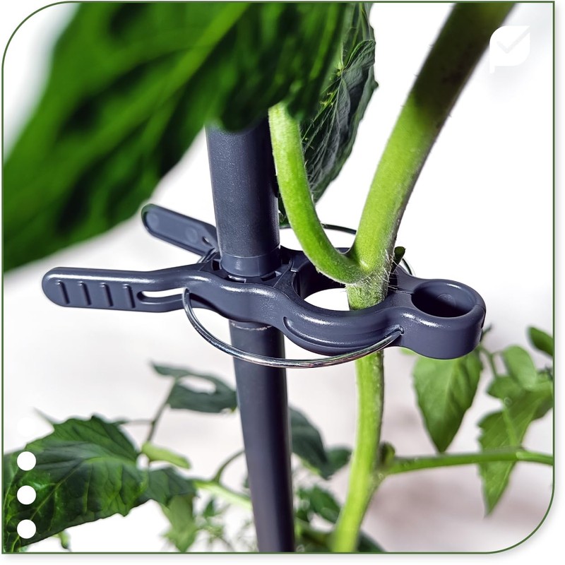 protanic Tomato Rod Plant Support Trellis with Plant Clips