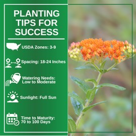 TKE Farms & Gardens - Butterfly Milkweed Seeds for Planting, 100+ Heirloom Non-GMO Seeds, Grow Vibrant Orange Flowers that Attract Monarch Butterflies, Easy Instructions Included, 1 Packet