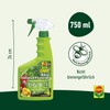 Compo Duaxo® universal fungus-free plant protector