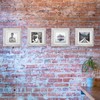 TOFOREVO 6x6 Picture Frames Set of 6 Distressed White Wood