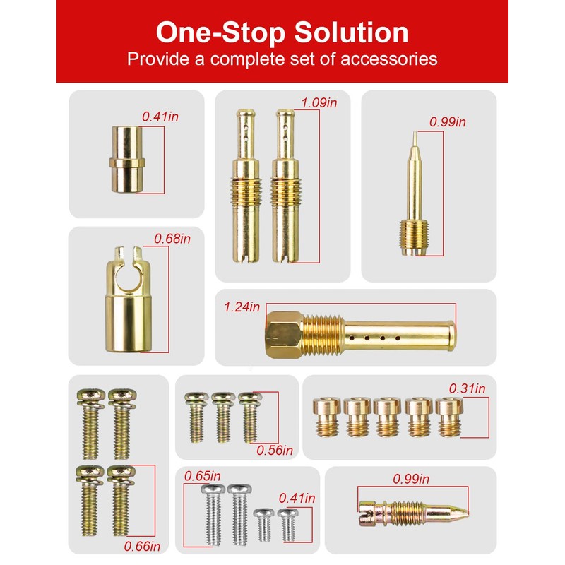 Carburetor Rebuild Repair Kits, Single Carburetor Version with Plunger Assembly