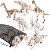 ArtCreativity Dino Fossils in Mesh Bag, Set of 12 Mini