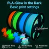 Glow in The Dark Gradient Rainbow 1.75mm PLA Filament, Luminous