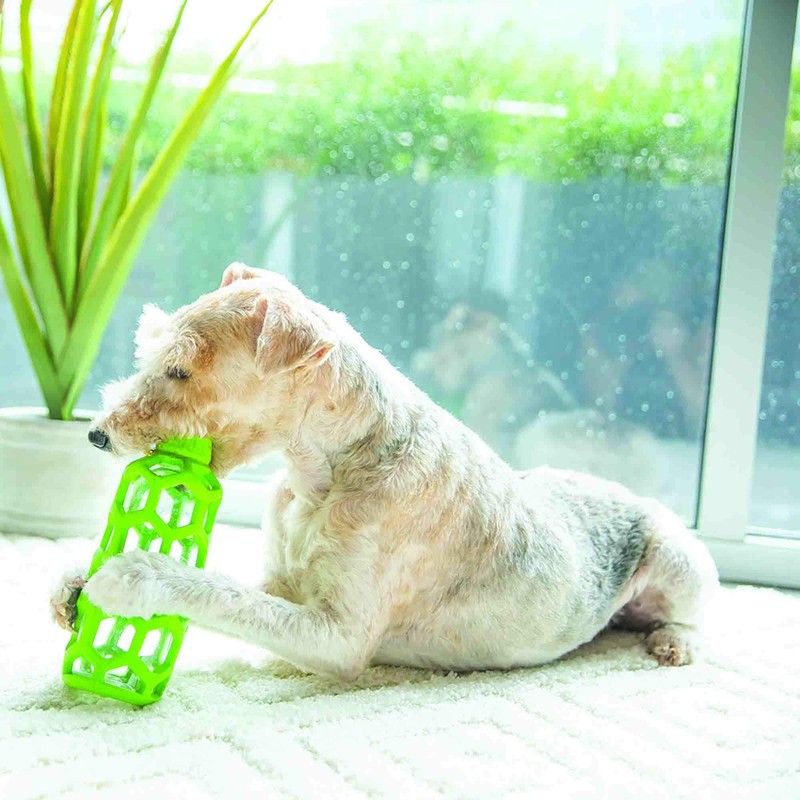 JW Pet Hol-ee Bottle Dog Chew Puzzle Toy, Medium