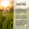 Herba Mushroom Complex with Lions Mane Supplement – 7 Mushroom