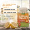 DACHA Natural Liposomal Vitamin C - 1700mg, 200 Capsules, Immune