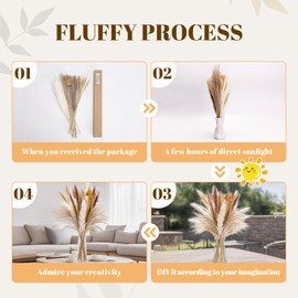Decoflora Natural Pampas Grass Decor Set for Boho Home, Wedding, Fall Centerpiece Table Decor - Rustic Western Vintage Farmhouse Vase Fillers (50PC)