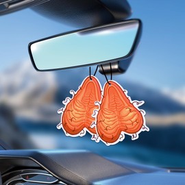 2PCS Car Air Fresheners Funny Car Present for Women Men Him Her Dad - Novelty Gift Car Interior Accessories Hanging Scents Anime Freshener Automotive Room Decor for Women Teen Girls Gift
