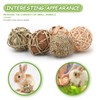 Episkey 6 Pcs Rabbit Chew Toys Natural Grass Ball Rabbit