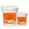N’Dulce Dulce de Leche Multipurpose | Caramel for Coffee, Caramel