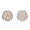 The Bridge Collection Beach Salt And Pepper Shaker Set -