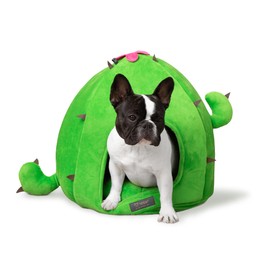 NANDOG Insta Fun Specialty Dog and Cat Bed Collection (Cactus, Prive 18 in)