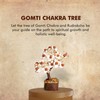 Crystal Tree for Home Decorations Crystals and Healing Stones Witchy