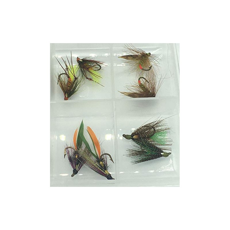 BestCity Fly Fishing Irish Wet Flies 16 Flies set in