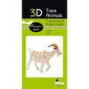 Fridolin 3D Paper Model Goat