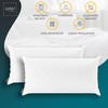 LILENO HOME Set of 6 cushion filling, 40 x 80