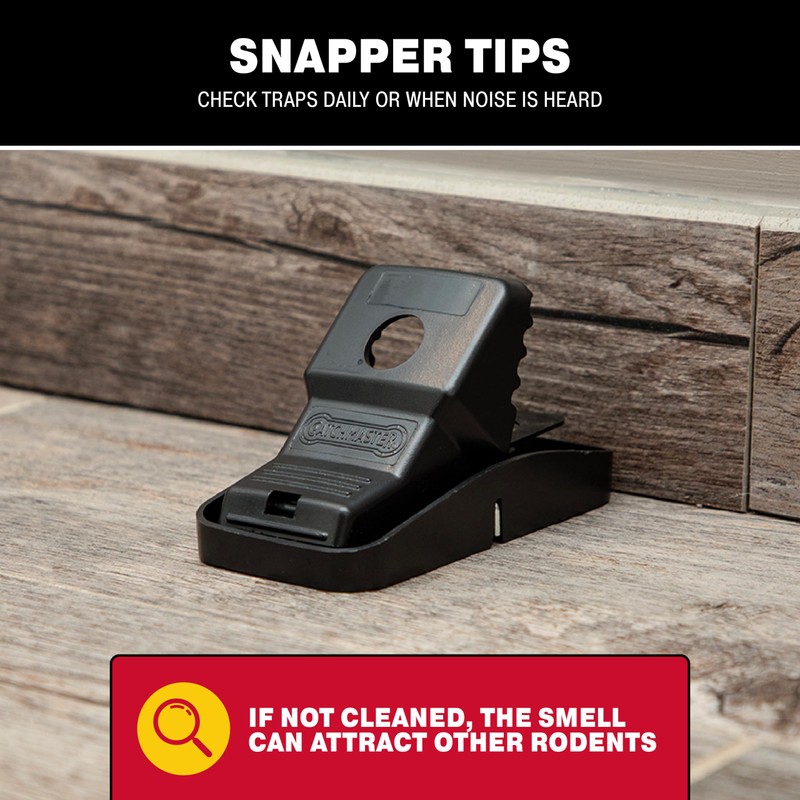 Catchmaster Snapper Mouse Traps 6-Pk, Mouse Traps Indoor for Home,