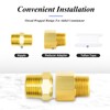 TAILONZ PNEUMATIC 2PCS Brass Pipe Fitting, Reducer Adapter, 1/8-Inch Male