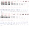 Hot Wheels 1/64 MINES RACING Waterslide Decals  MADE IS THE USA