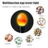 PAIDUOJI Home Use Incubator Automatic Temperature Control Digital Mini Egg