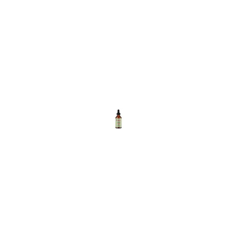 Mielle Organics Rosemary Mint Scalp & Hair Strengthening Oil