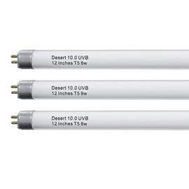 Celiwace T5 10.0 UVB Reptile Light Bulb 8W 12 Inch, Desert Reptile UVB Bulb 8 Watt for Lizards, Bearded Dragons, Chameleons, Turtles, Tortoises 3 Pack