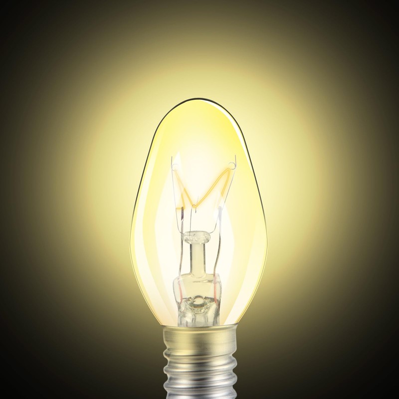 Jahy2Tech Original 6 Pcs Flea Trap Replacement Light Bulbs, Special