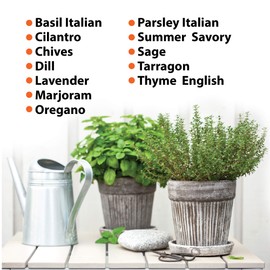 Herbobloom Set of 12 Heirloom Culinary Herb Seeds - 3800 Seeds for Indoor and Outdoor Planting - Basil, Cilantro, Chives, Lavender, Oregano, Dill, Thyme, etc